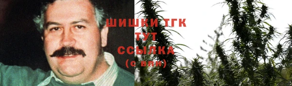 прущие грибы Балахна