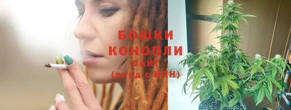 прущая мука Няндома