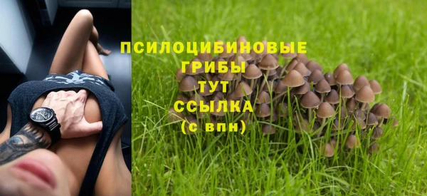 мет Баксан