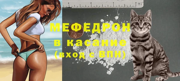 прущие грибы Балахна