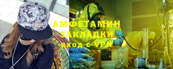 прущие грибы Балахна