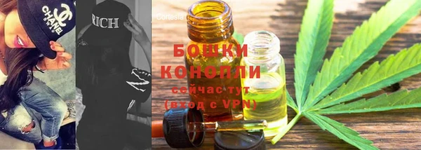 прущие грибы Балахна